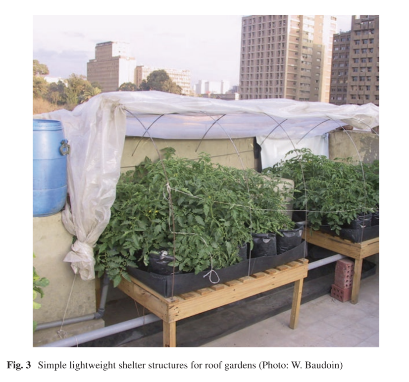 Rooftop Gardening: A Practical Guide to Improving Urban Food and Nutrition Security